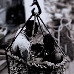 Bilder Un día vi 10.000 elefantes