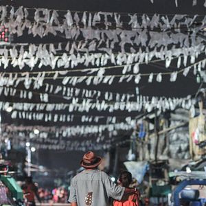 Bilder Peter Millari