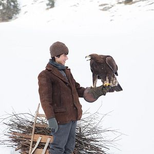 Bilder Wie Brüder im Wind