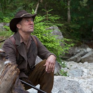 Bilder Wie Brüder im Wind