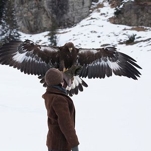 Bilder Wie Brüder im Wind