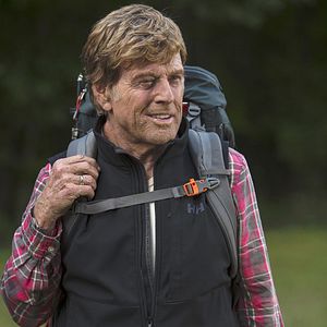 Bilder Picknick mit Bären