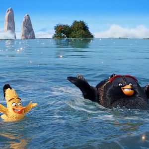 Bilder Angry Birds - Der Film