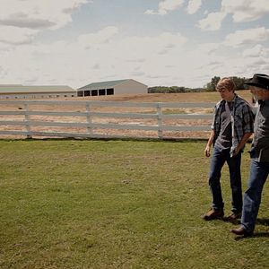 Bilder Mein treues Pferd "Bär"