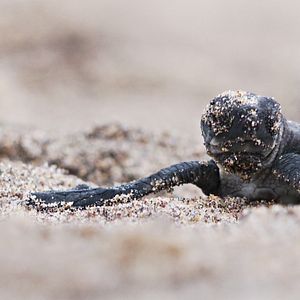 Bilder Passion For Planet