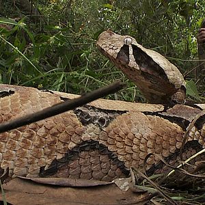 Bilder Passion For Planet