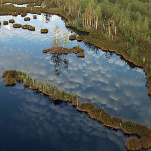 Bilder Passion For Planet