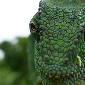 Bilder Passion For Planet