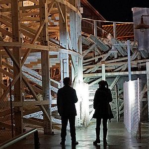 Bilder Pauley Perrette