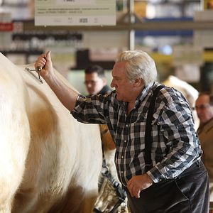 Bilder Gérard Depardieu