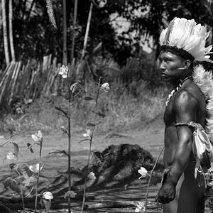 Bilder Der Schamane und die Schlange - Eine Reise auf dem Amazonas