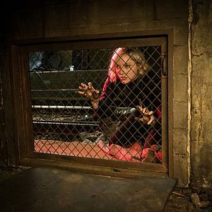 Bilder Georgina Haig