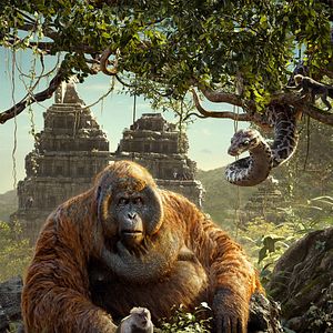 Bilder The Jungle Book