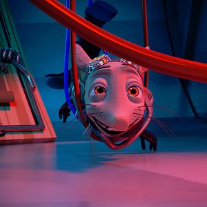 Bilder Voll auf die Nuss