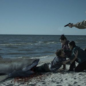 Bilder Zombie Shark - The Swimming Dead