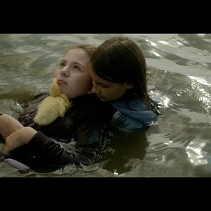 Bilder Zugvögel - Wenn Freundschaft Flügel verleiht