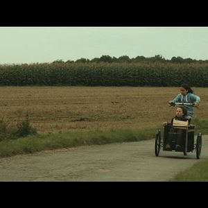 Bilder Zugvögel - Wenn Freundschaft Flügel verleiht