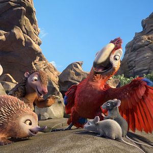 Bilder Robinson Crusoe