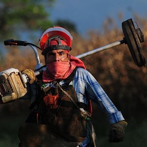 Bilder Todos tus muertos