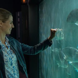 Bilder Kommissar Dupin - Bretonische Brandung