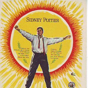 Bilder Ein Fleck in der Sonne