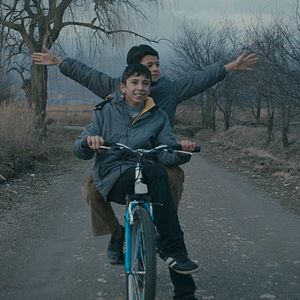 Bilder Mavi Bisiklet