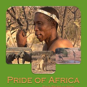 Bilder Pride of Africa – Eine Reise durch Simbabwe und Botswana