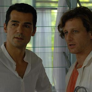 Bilder Die Blüten der Sehnsucht