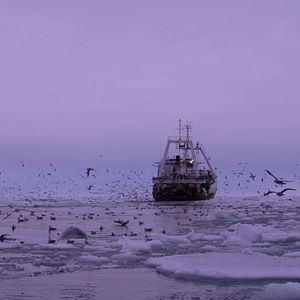 Bilder Seuls ensemble