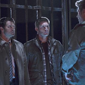 Bilder Misha Collins