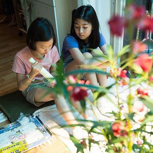 Bilder In unserer Welt