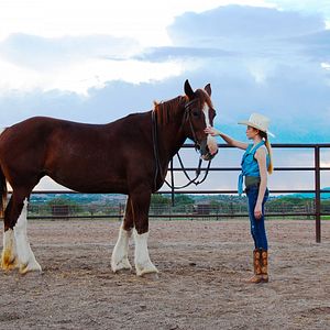 Bilder Die Magie der Pferde