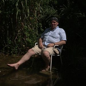 Bilder Sommer in Wien