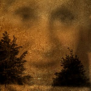 Bilder Heart Of A Dog