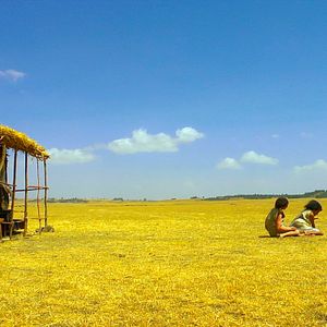 Bilder Beti und Amare