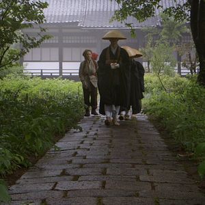 Bilder Zen For Nothing