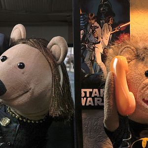 Bilder La Sociologue et L'ourson