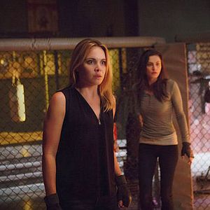 Bilder Phoebe Tonkin