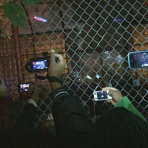 Bilder Banksy Does New York