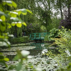 Bilder Das Malen des modernen Gartens: Monet bis Matisse