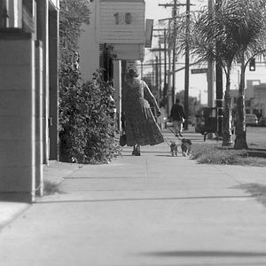 Bilder Pursuit of Loneliness