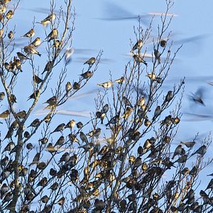 Bilder Unsere Wildnis