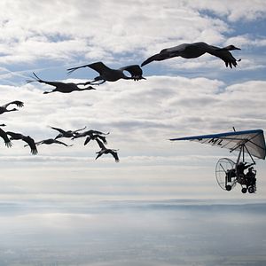 Bilder Unsere Wildnis