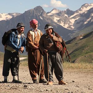 Bilder Folge meiner Stimme