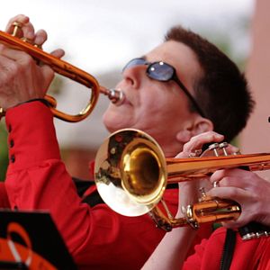 Bilder Kein Zickenfox