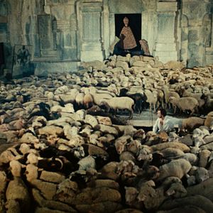 Bilder Die Farbe des Granatapfels