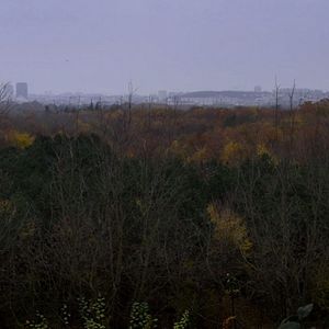 Bilder The Woods Dreams Are Made of