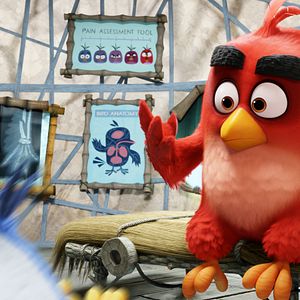 Bilder Angry Birds - Der Film