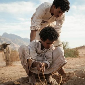 Bilder Theeb