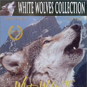 Bilder Die Legende des weissen Wolfes